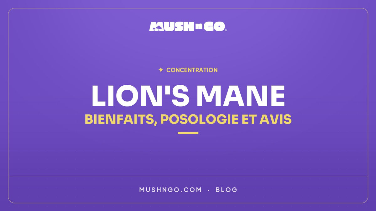 Lion's Mane : Bienfaits, Posologie et Avis Scientifiques