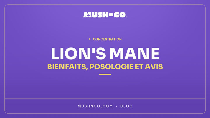 Lion's Mane : Bienfaits, Posologie et Avis Scientifiques