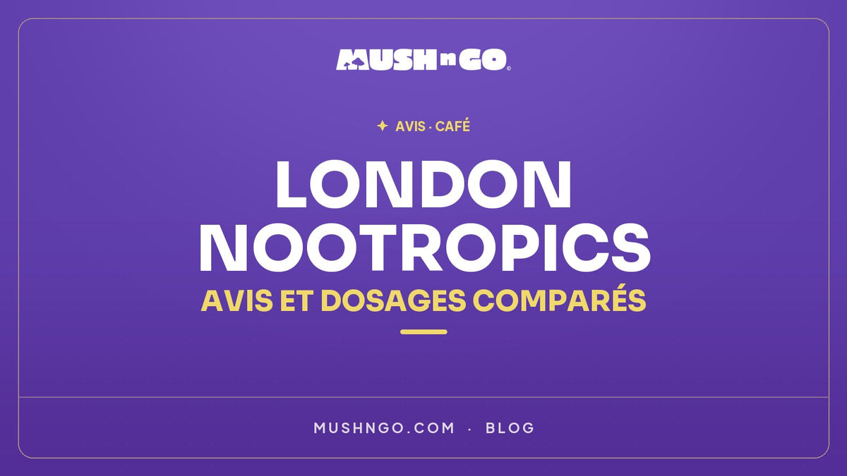 London Nootropics Flow Coffee : avis, composition et dosages comparés