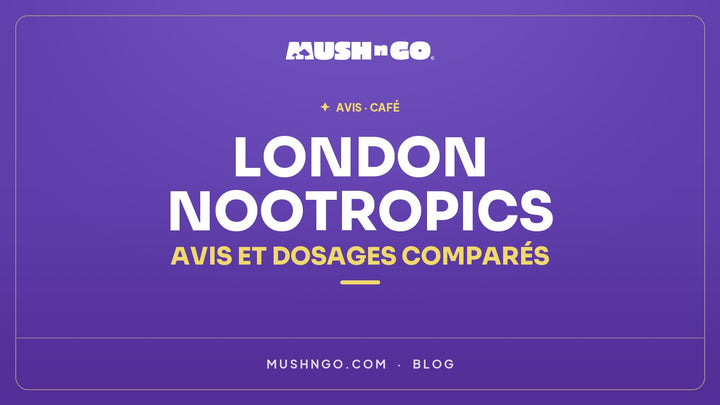 London Nootropics Flow Coffee : avis, composition et dosages comparés