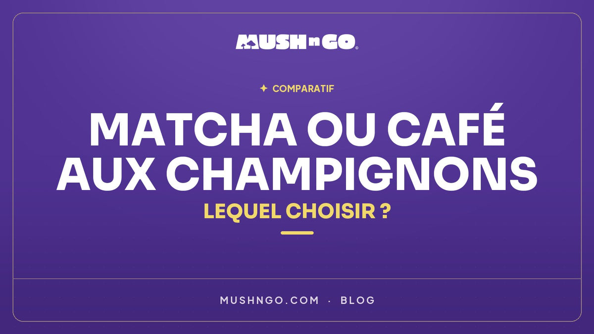 Matcha ou café aux champignons : lequel choisir ?