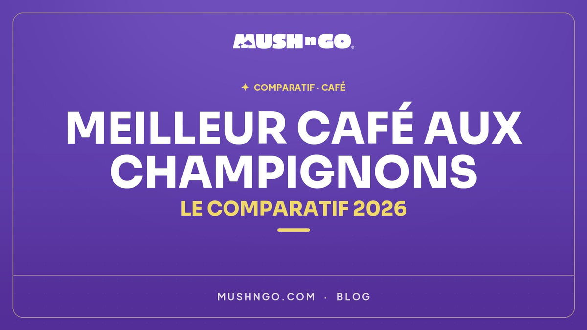 Meilleur café aux champignons : le comparatif 2026
