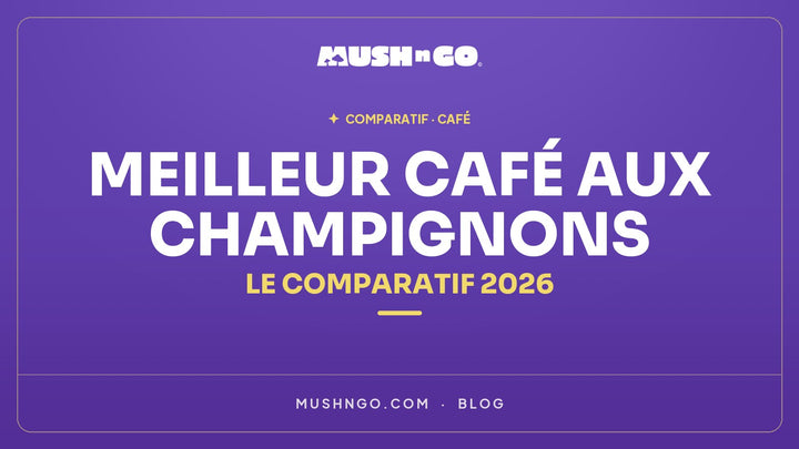 Meilleur café aux champignons : le comparatif 2026