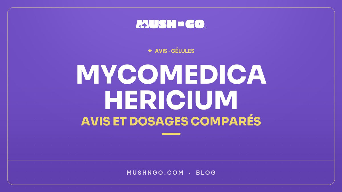 MycoMedica Hericium : avis, composition et dosages comparés