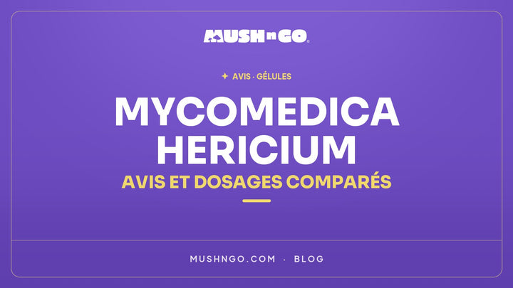 MycoMedica Hericium : avis, composition et dosages comparés