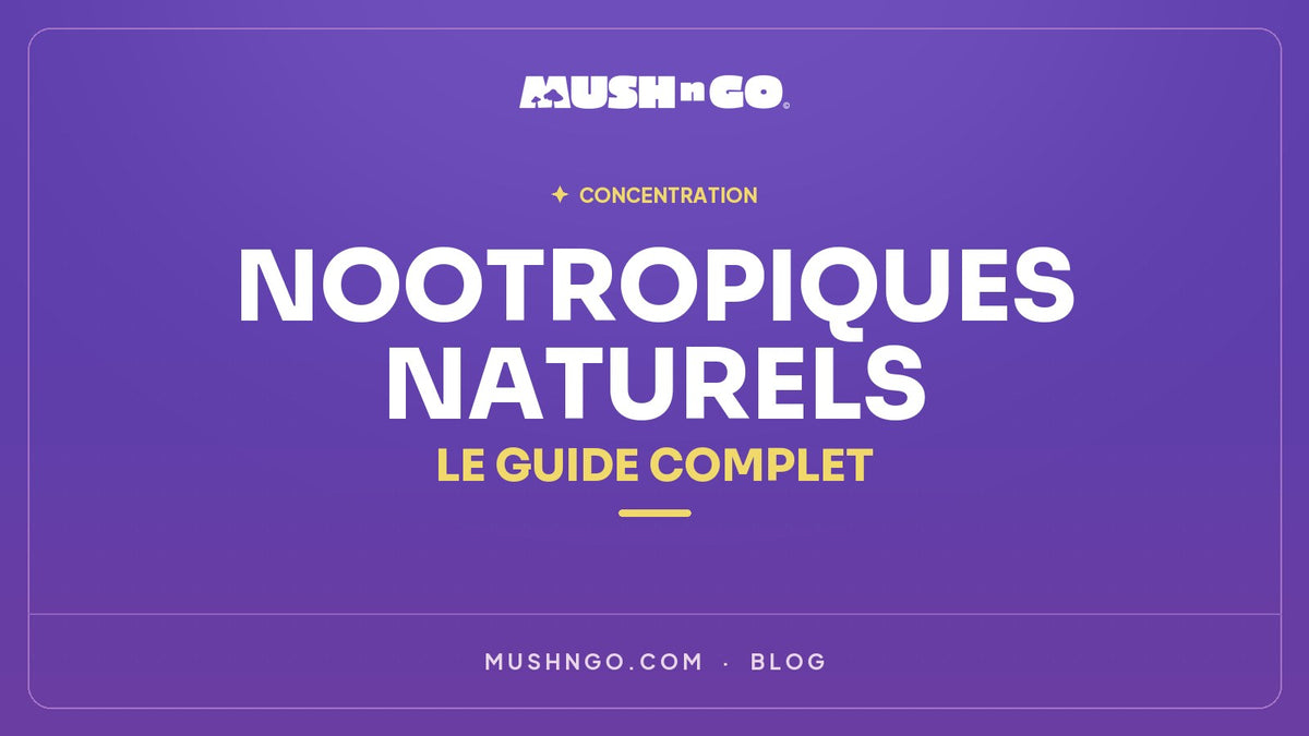 Nootropiques Naturels : Le Guide Complet pour Booster votre Concentration