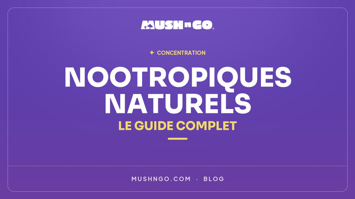Nootropiques Naturels : Le Guide Complet pour Booster votre Concentration