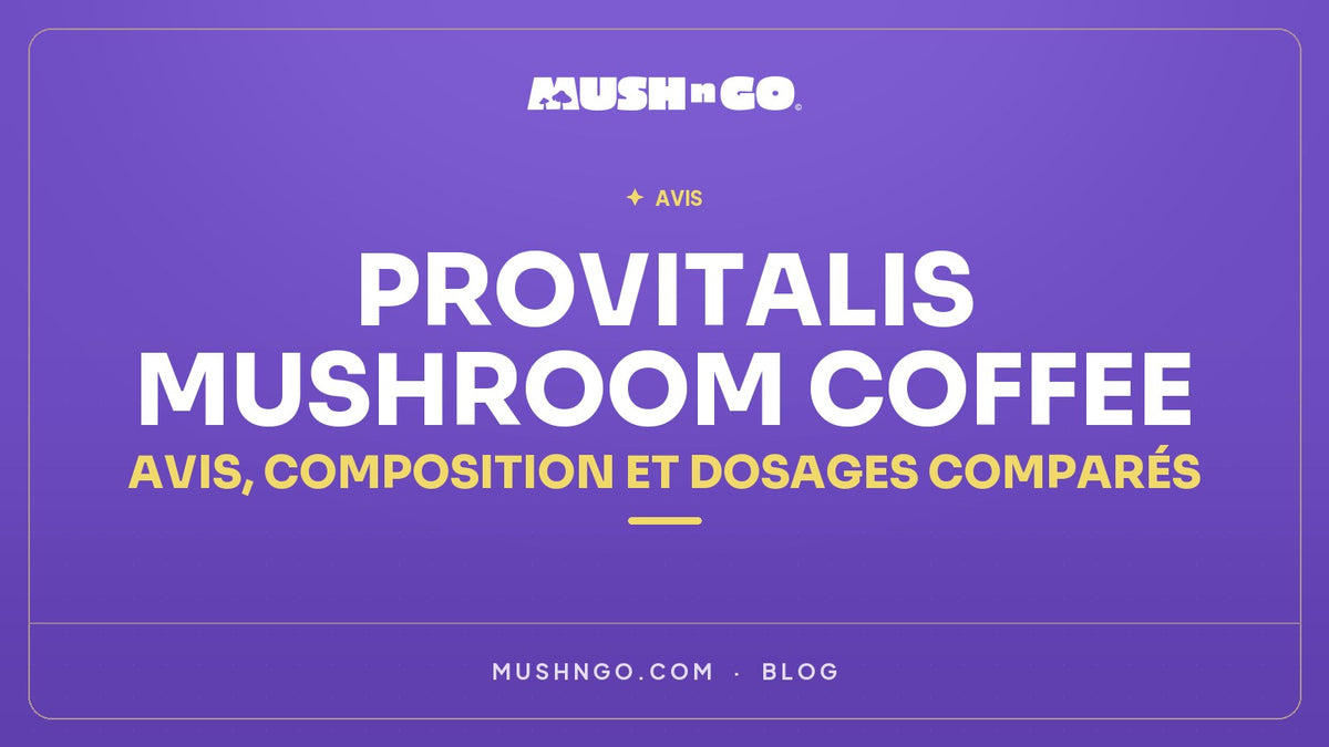 Provitalis Mushroom Coffee : avis, composition et dosages comparés