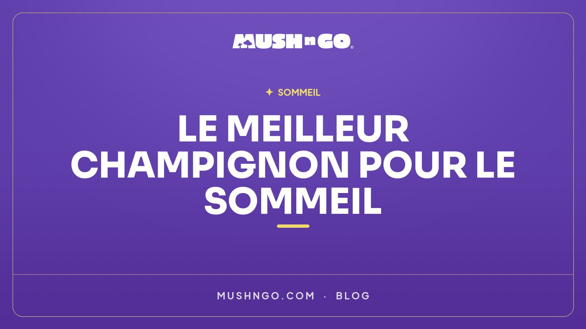 Quel est le Meilleur Champignon pour le Sommeil ? Comparatif et Avis