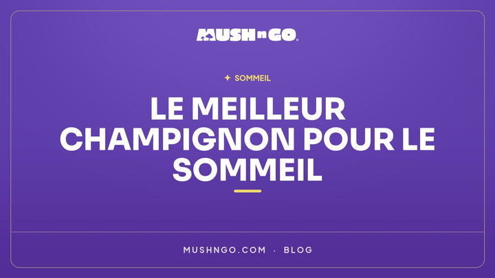 Quel est le Meilleur Champignon pour le Sommeil ? Comparatif et Avis