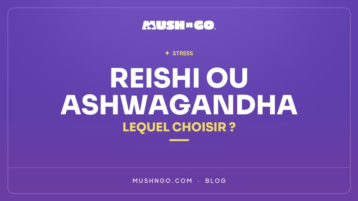 Reishi vs Ashwagandha : Quel Anti-Stress Naturel Choisir en 2026 ?