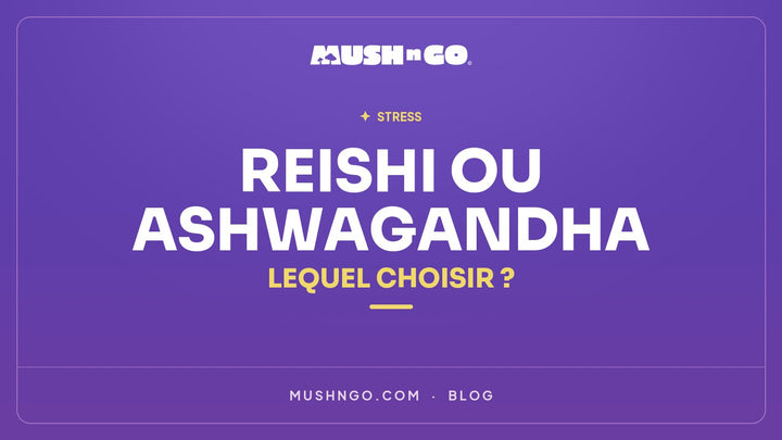 Reishi vs Ashwagandha : Quel Anti-Stress Naturel Choisir en 2026 ?
