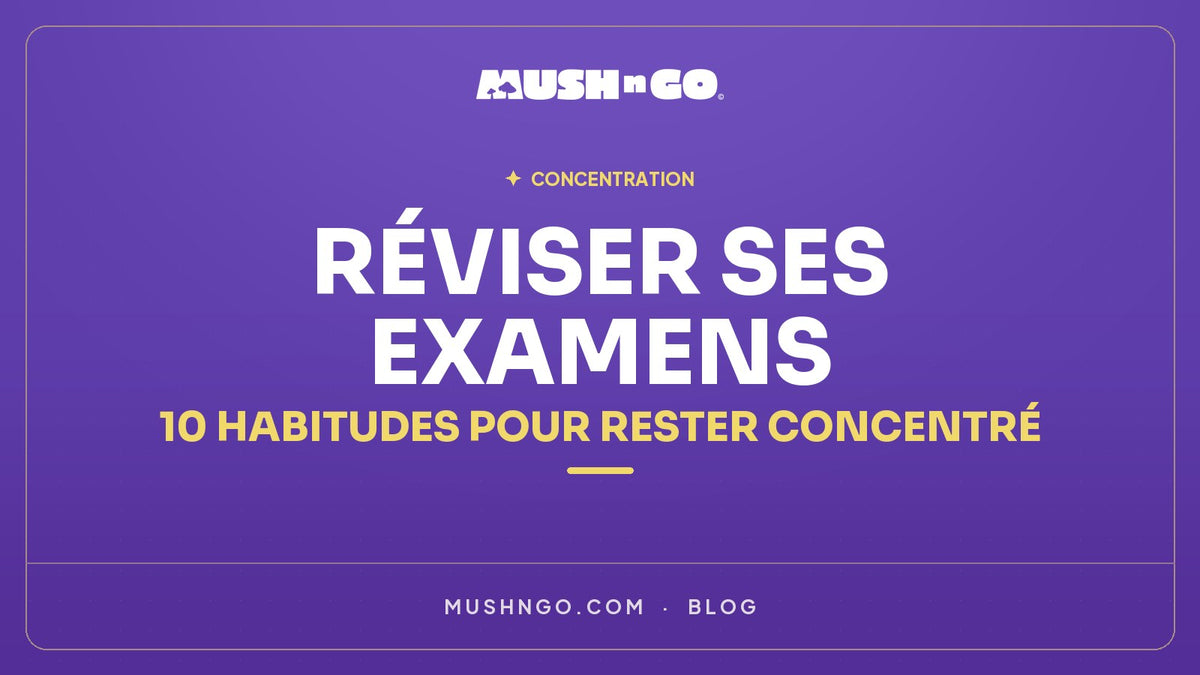Réviser ses examens : 10 habitudes pour rester concentré