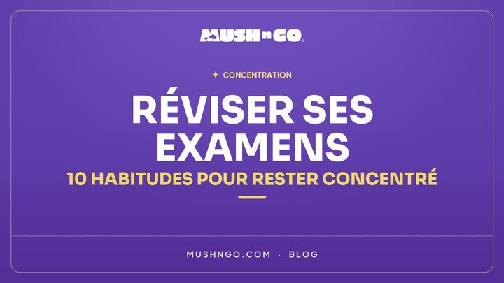 Réviser ses examens : 10 habitudes pour rester concentré