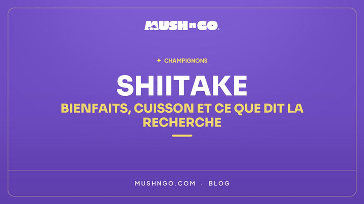 Shiitake : bienfaits, cuisson et ce que dit la recherche