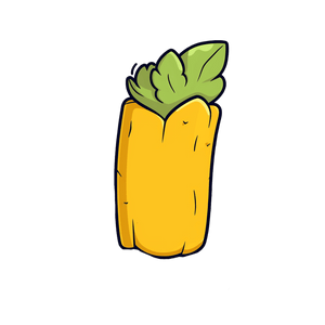 Curcuma
