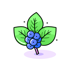 Ginseng de Sibérie
