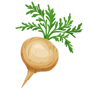 Maca
