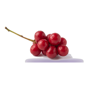 Schisandra