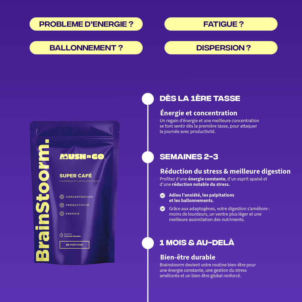 Brainstoorm - Image 9