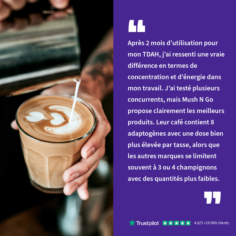 Brainstoorm - Image 10