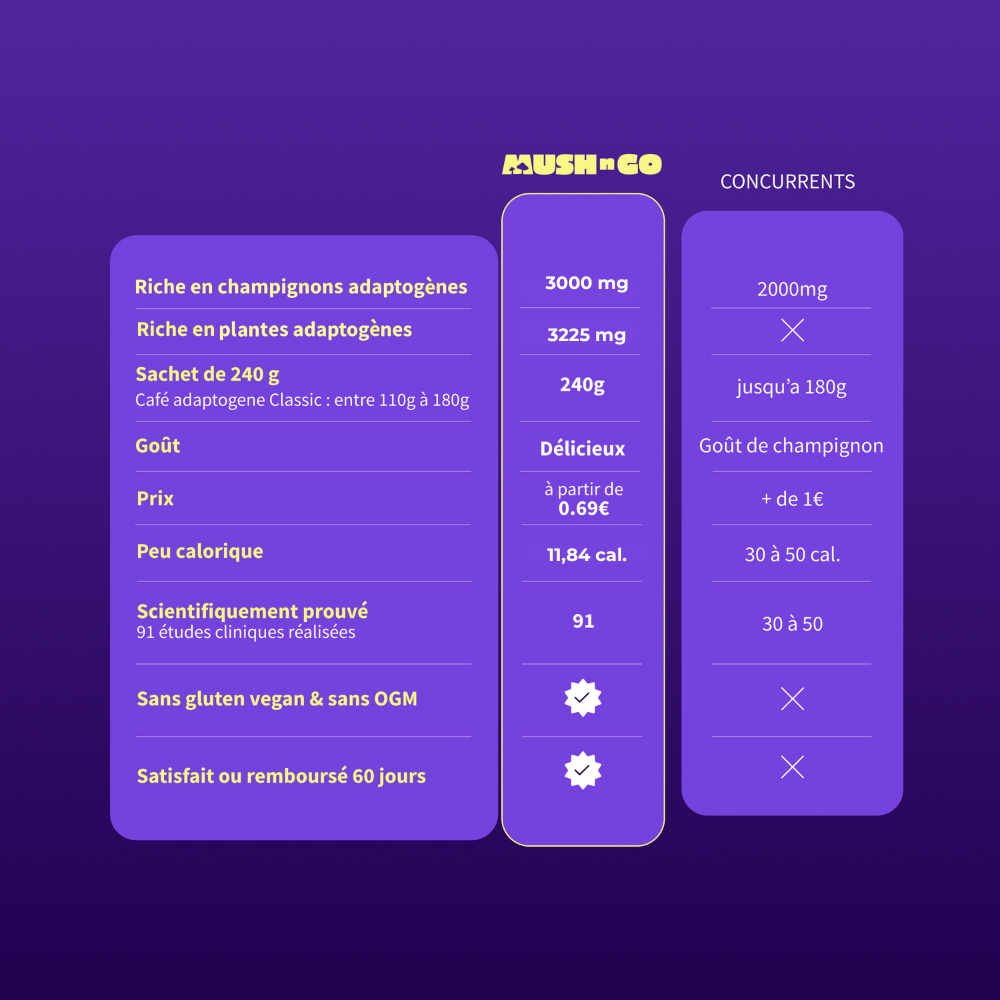 Brainstoorm - Image 11