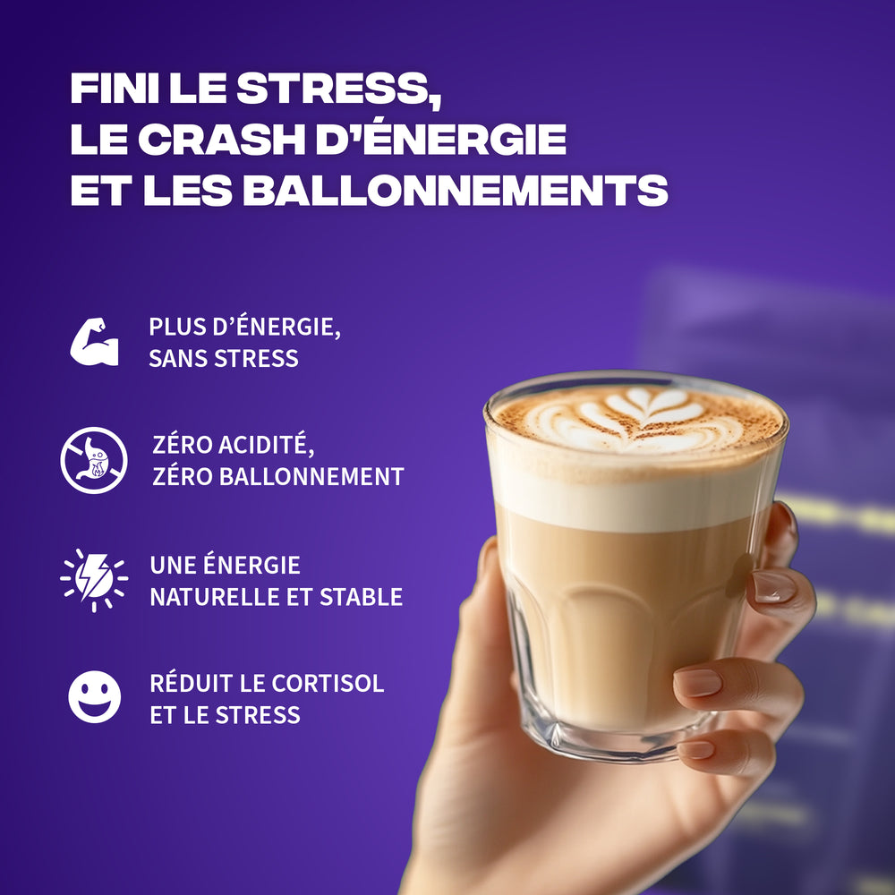 Brainstoorm - Image 13