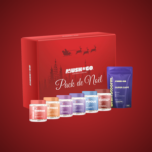 Pack de Noël (Cures + Brainstoorm)