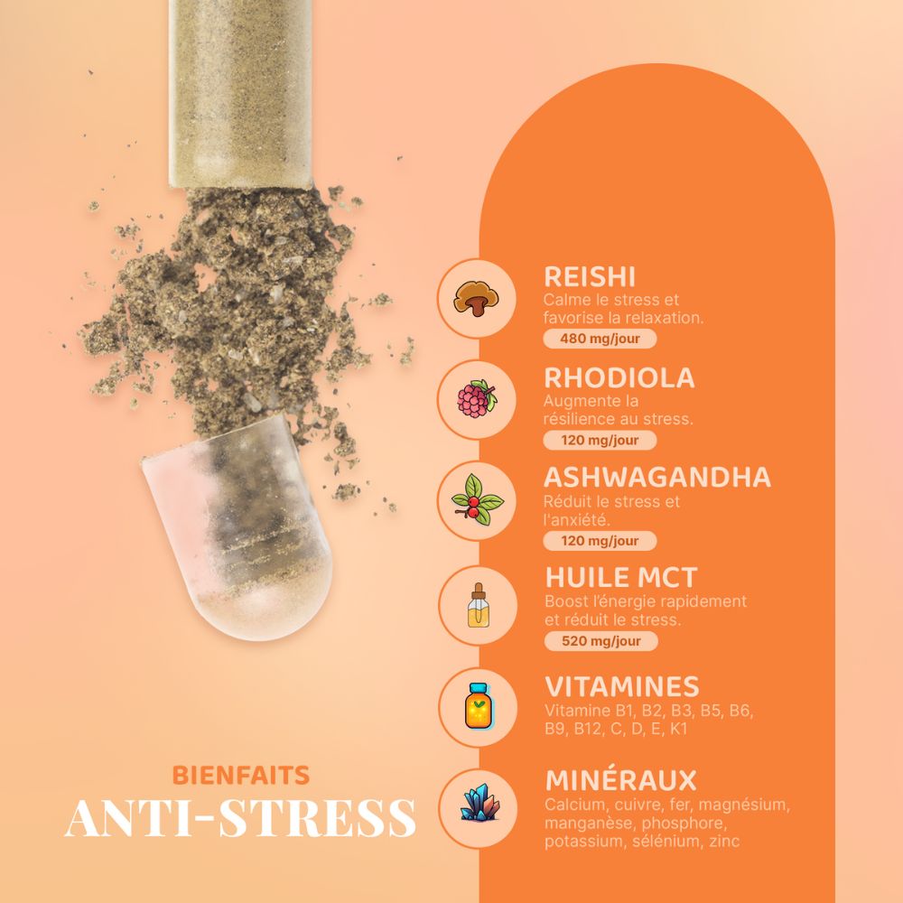 Anti-Stress - Image 2