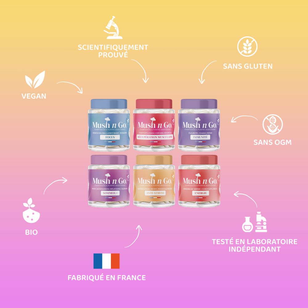 Discovery Pack - Image 4