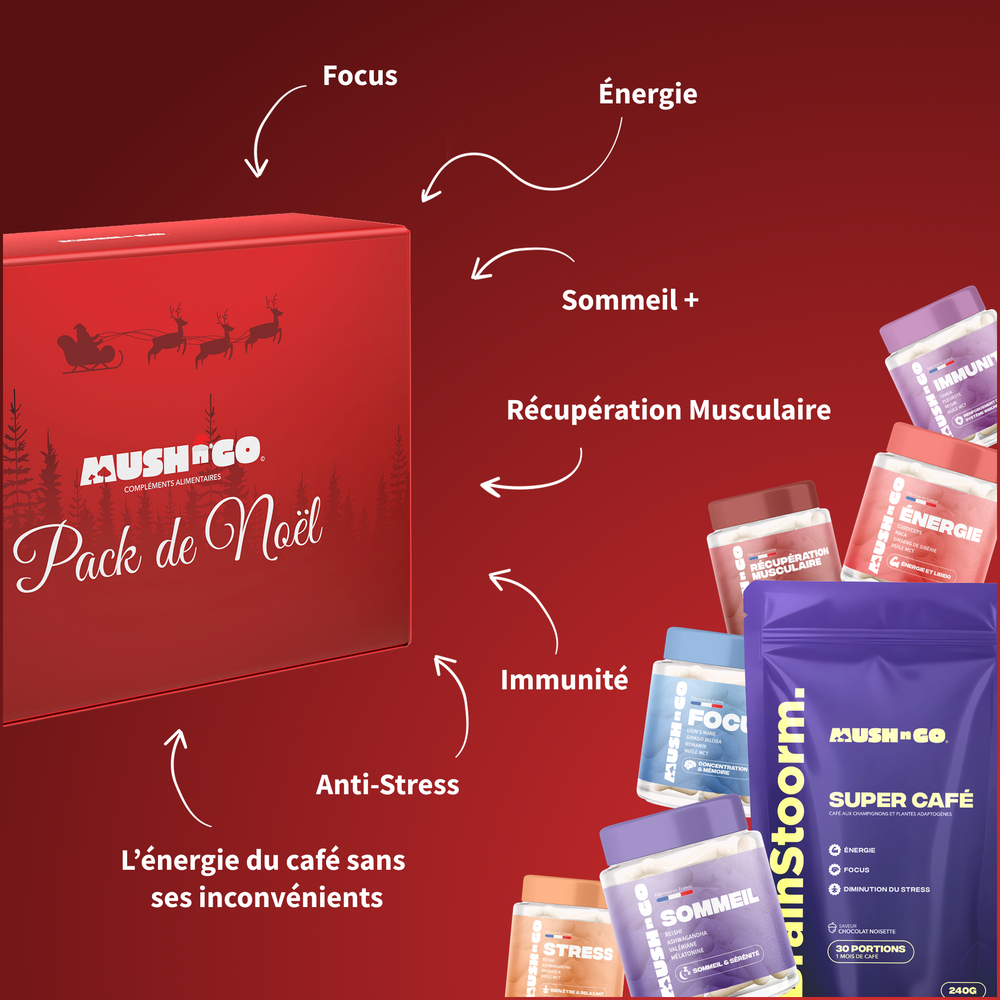 Pack de Noël (Cures + Brainstoorm) - Image 1