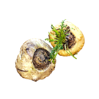 maca