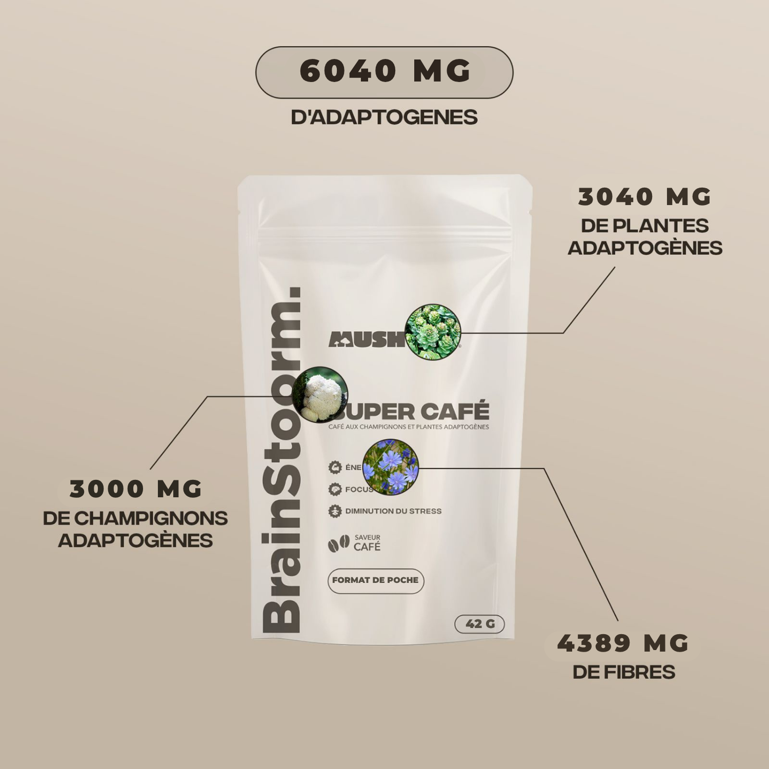 Brainstoorm caffè (format de po