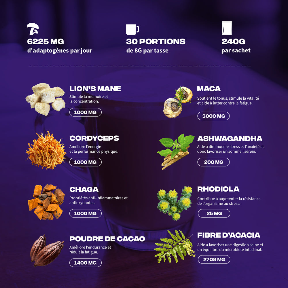 Brainstoorm - Image 2