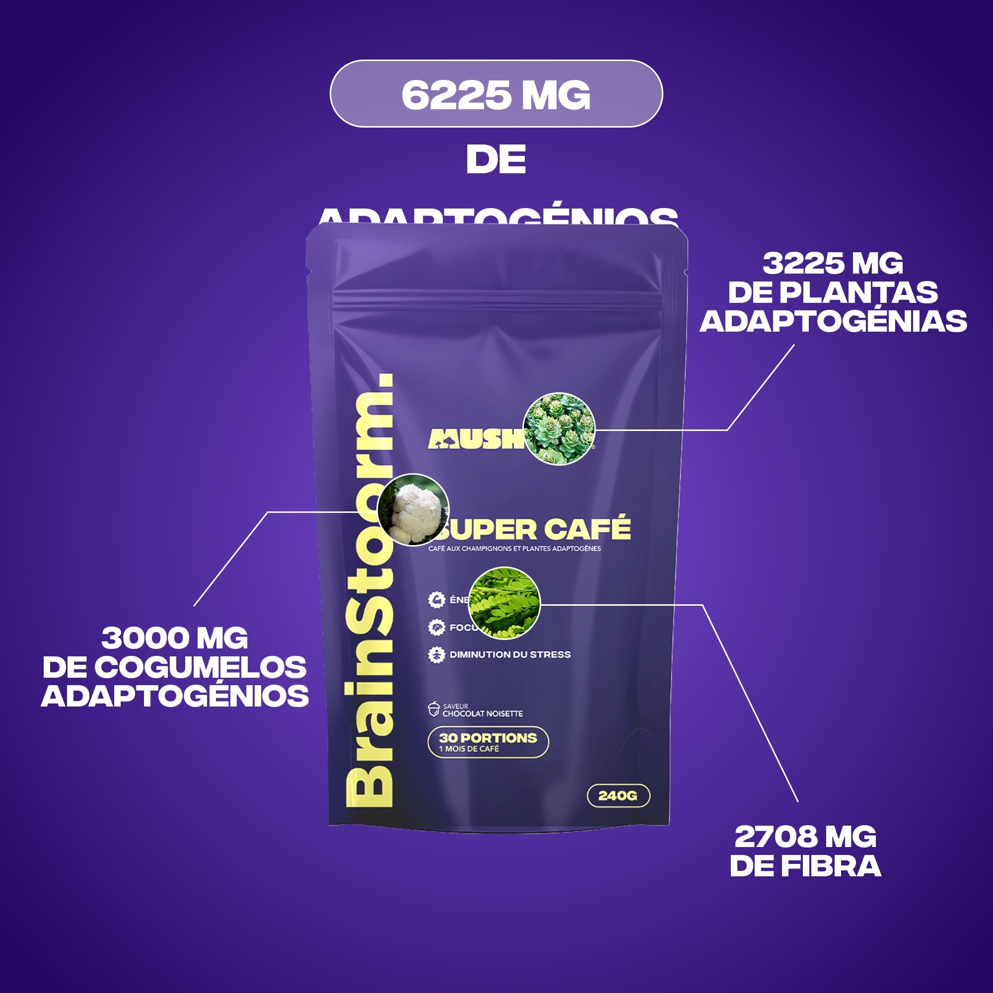 3_3b0947c9 90a8 4221 af67 6ca266ebbf65