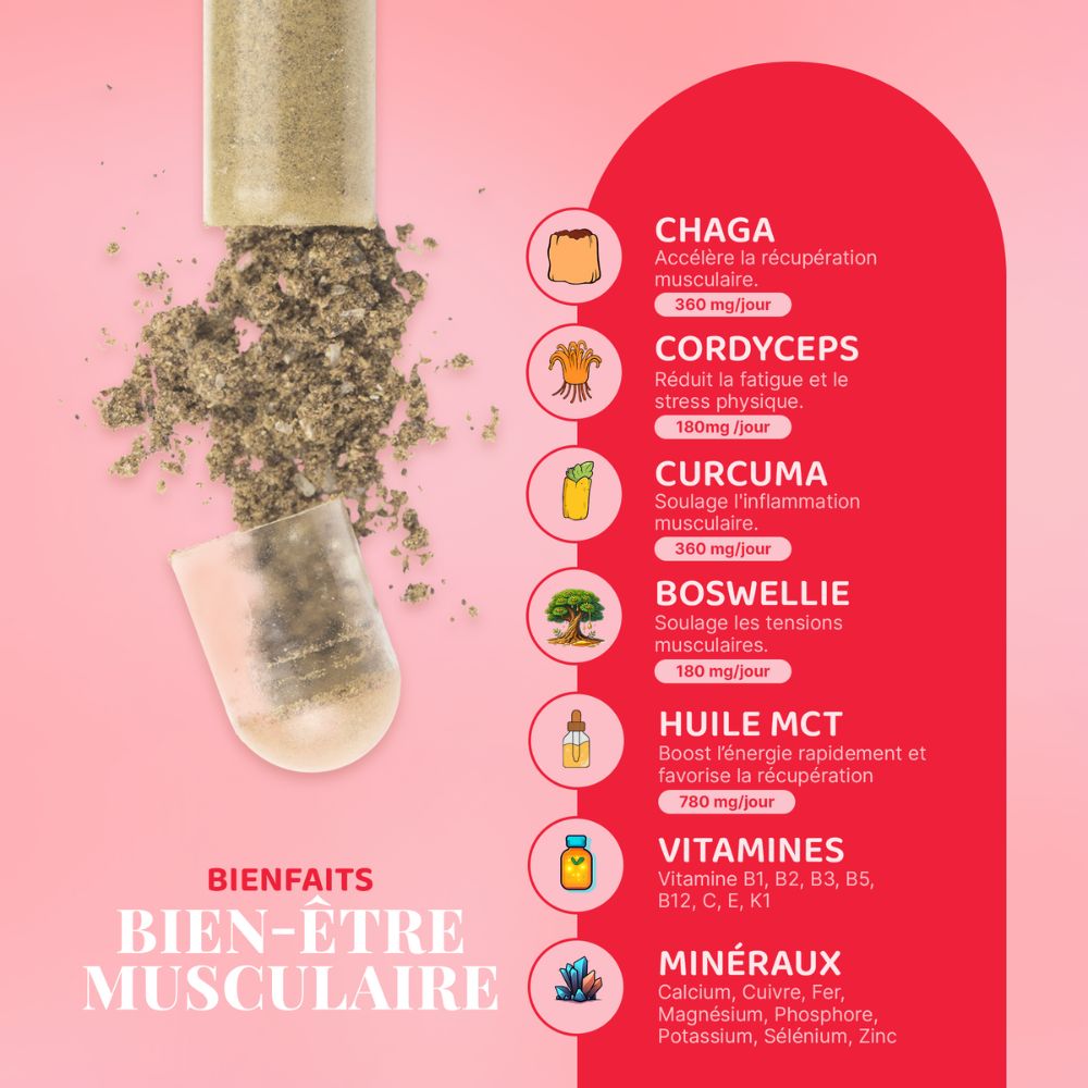 Récupération Musculaire - Image 2