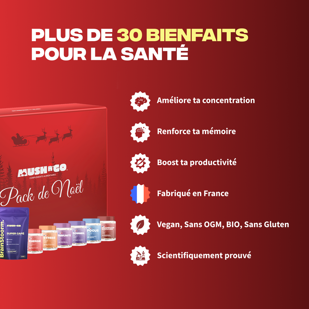 Pack de Noël (Cures + Brainstoorm) - Image 2