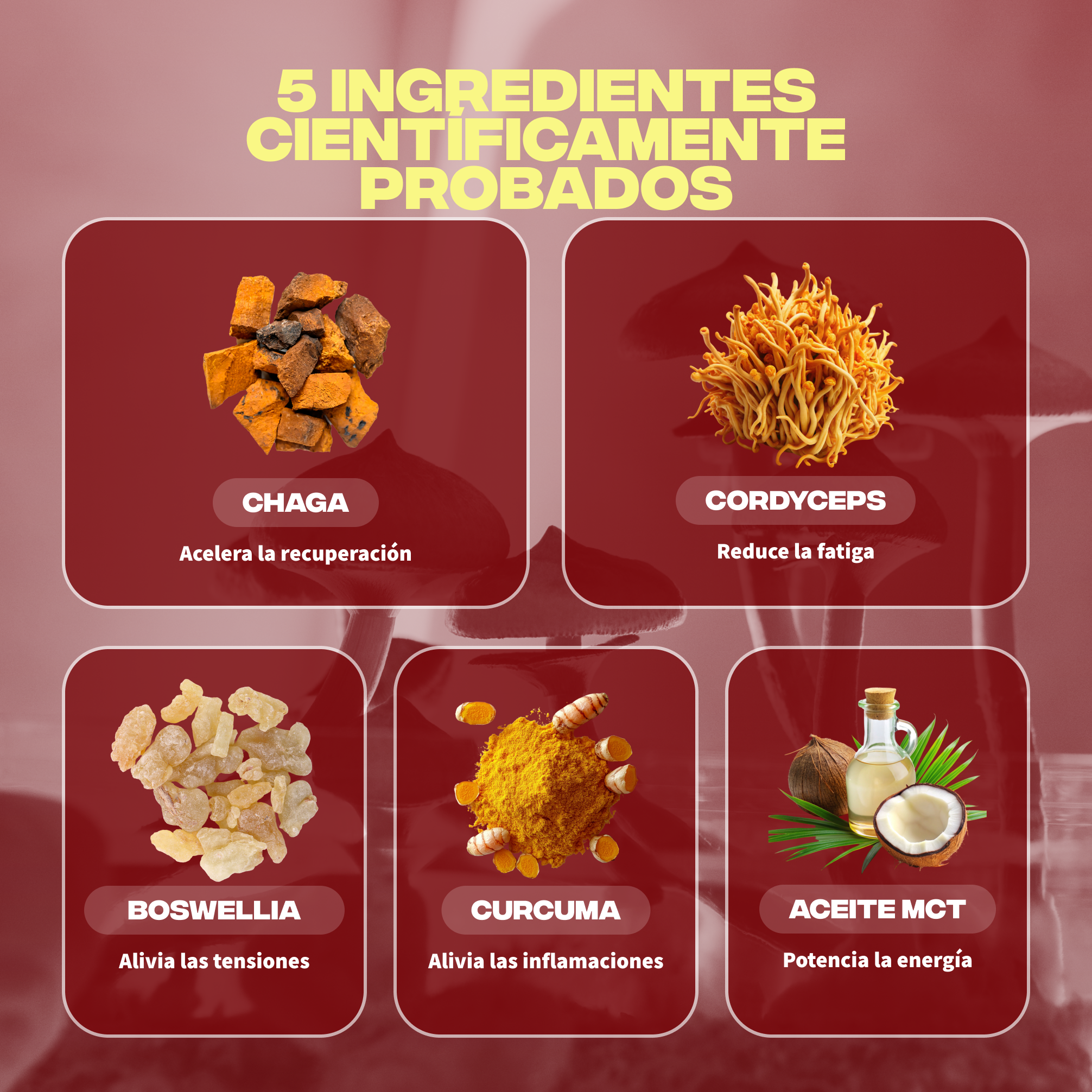 4_875b5822 8df5 4534 910c de8d4a66cfa4