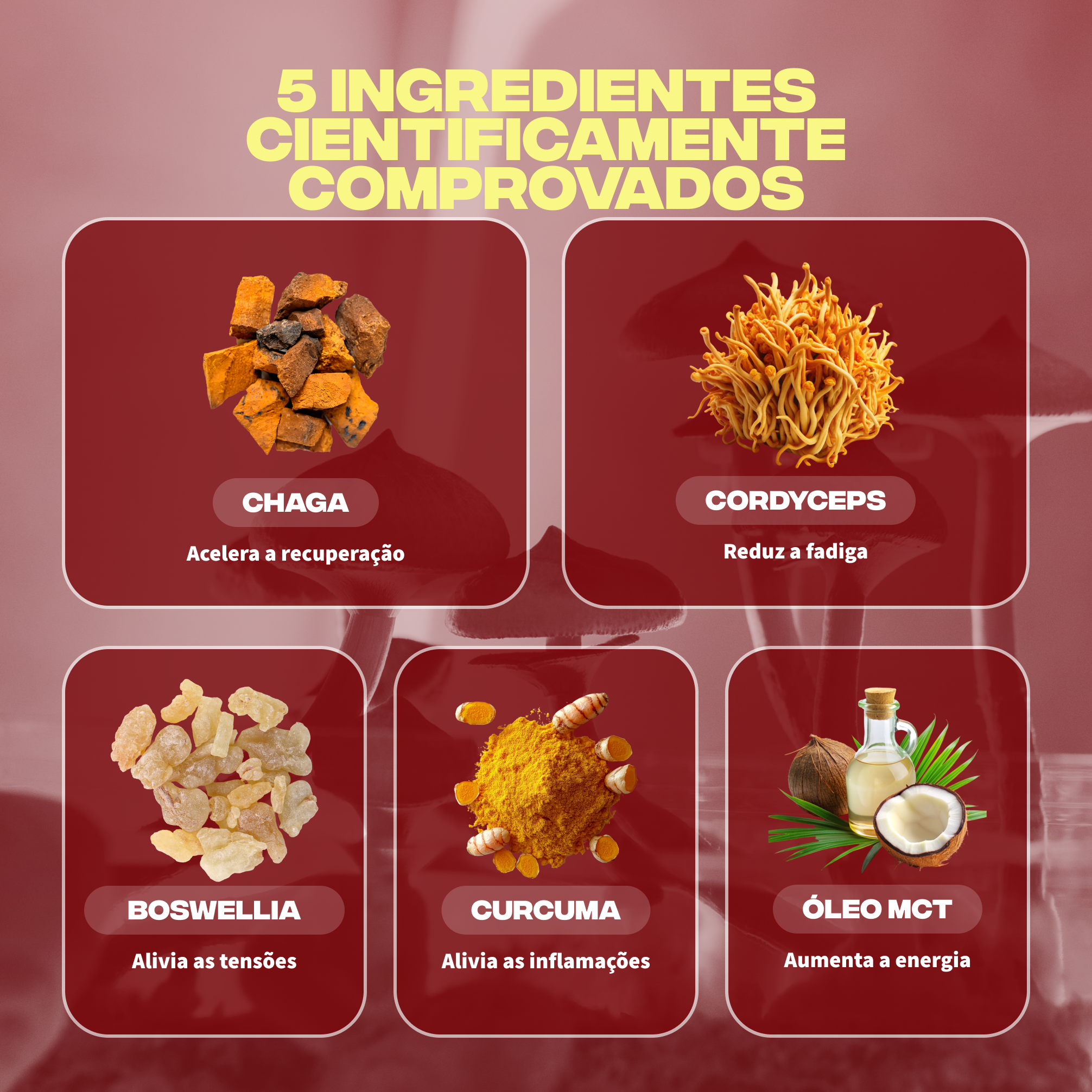 4_875b5822 8df5 4534 910c de8d4a66cfa4
