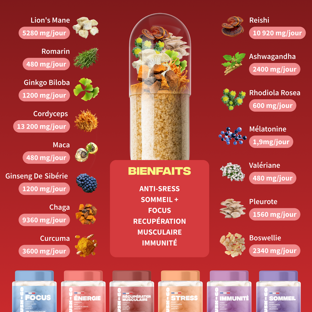 Pack de Noël (Cures + Brainstoorm) - Image 4