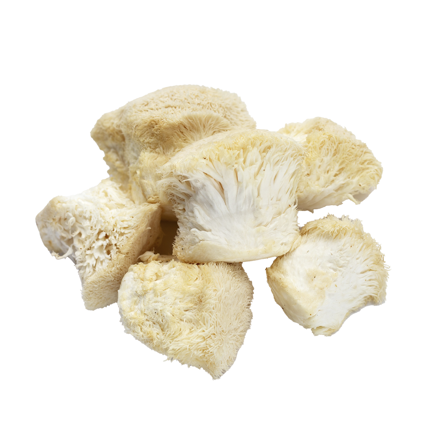 Lion’s Mane