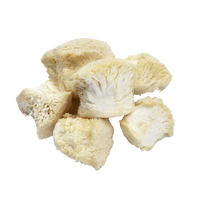 Lion’s Mane
