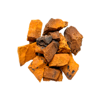 chaga