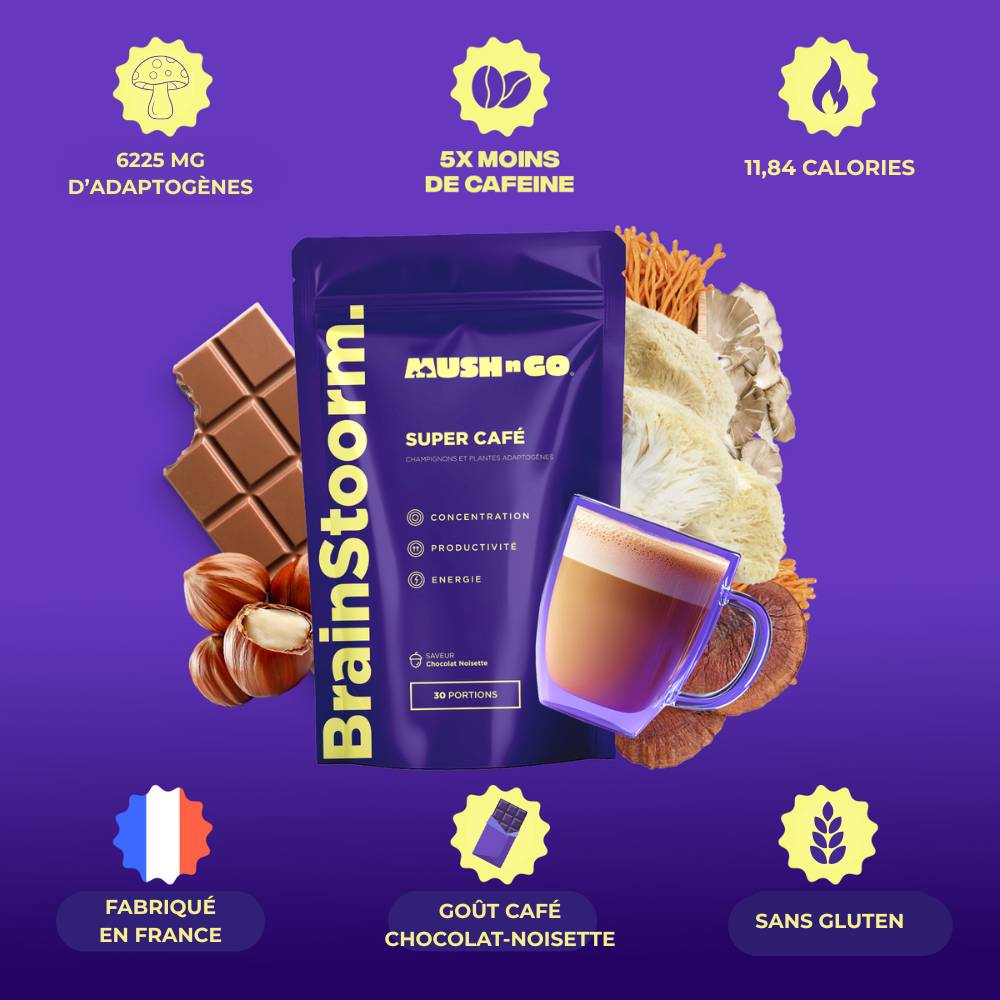 Brainstoorm - Image 5