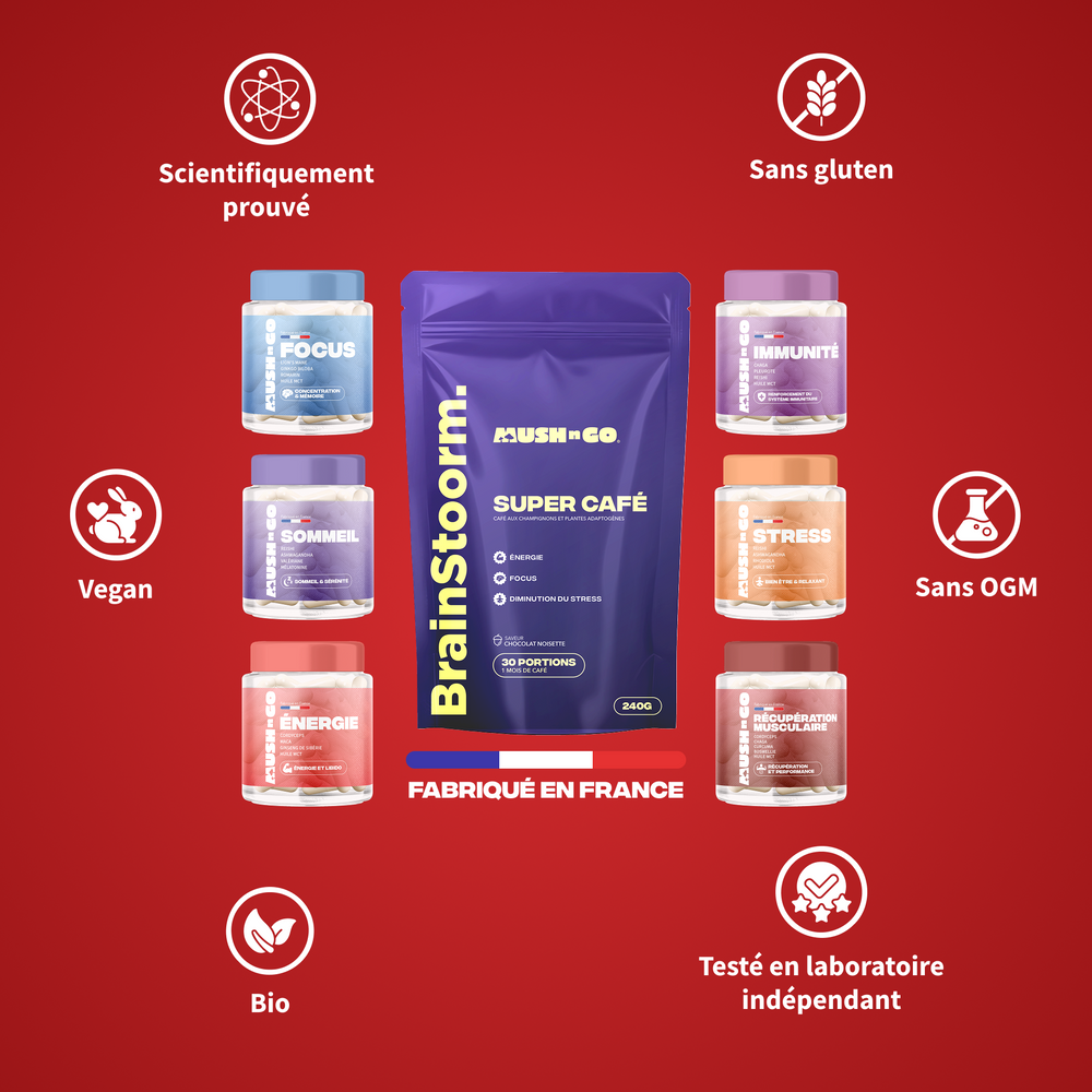 Pack de Noël (Cures + Brainstoorm) - Image 6