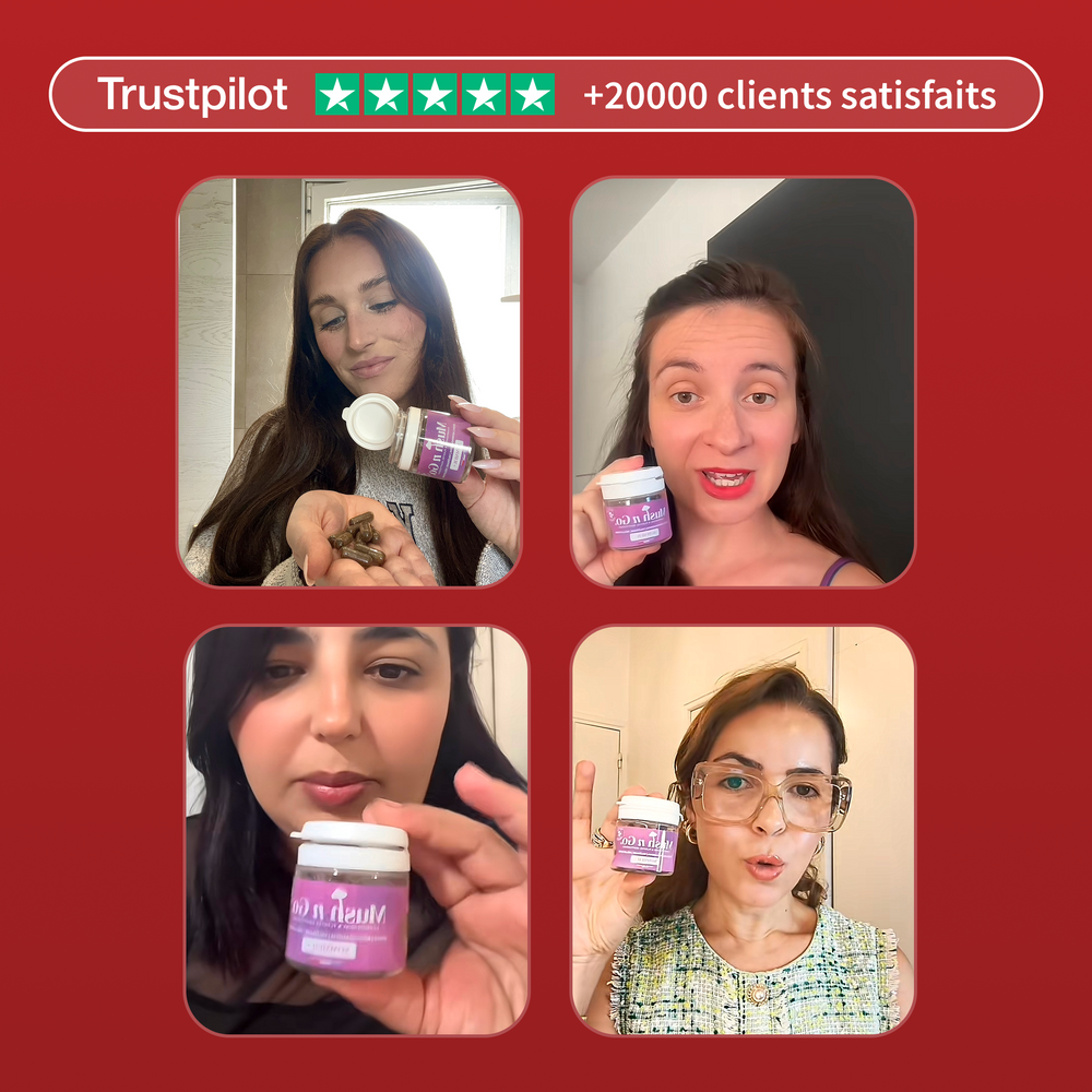 Pack de Noël (Cures + Brainstoorm) - Image 9