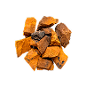 Le Cordyceps