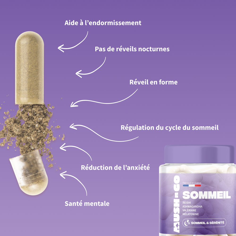 Sommeil + - Image 2