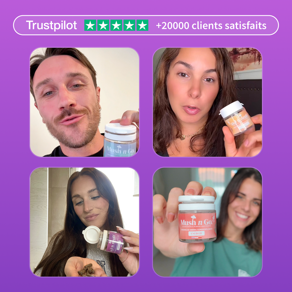 Pack Limitless - Image 10