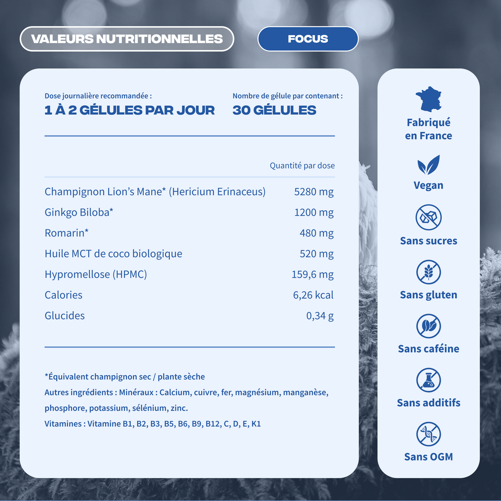 Pack Entrepreneur - Image 10